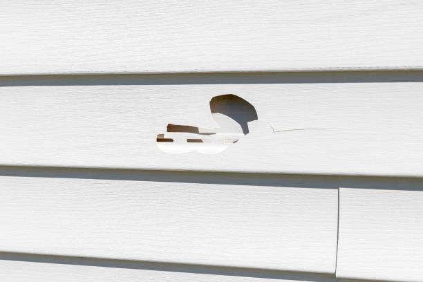 How To Choose The Right Materials for Your Siding Installation in 'Shelby, MT